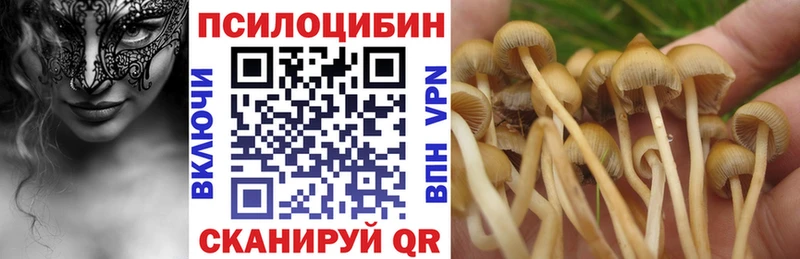 Купить где  Вихоревка  Галлюциногенные грибы Magic Shrooms 